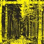 Ian Elms — Good Night