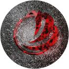 Various — Vivendum 5