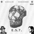 E.S.T. — Panzerkreuz 1038