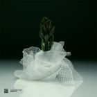 Various Artists — Curation Four: Freddy K