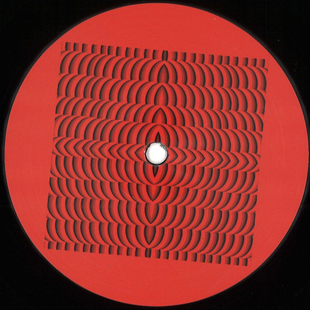 Dold & Remco Beekwilder — Untitled