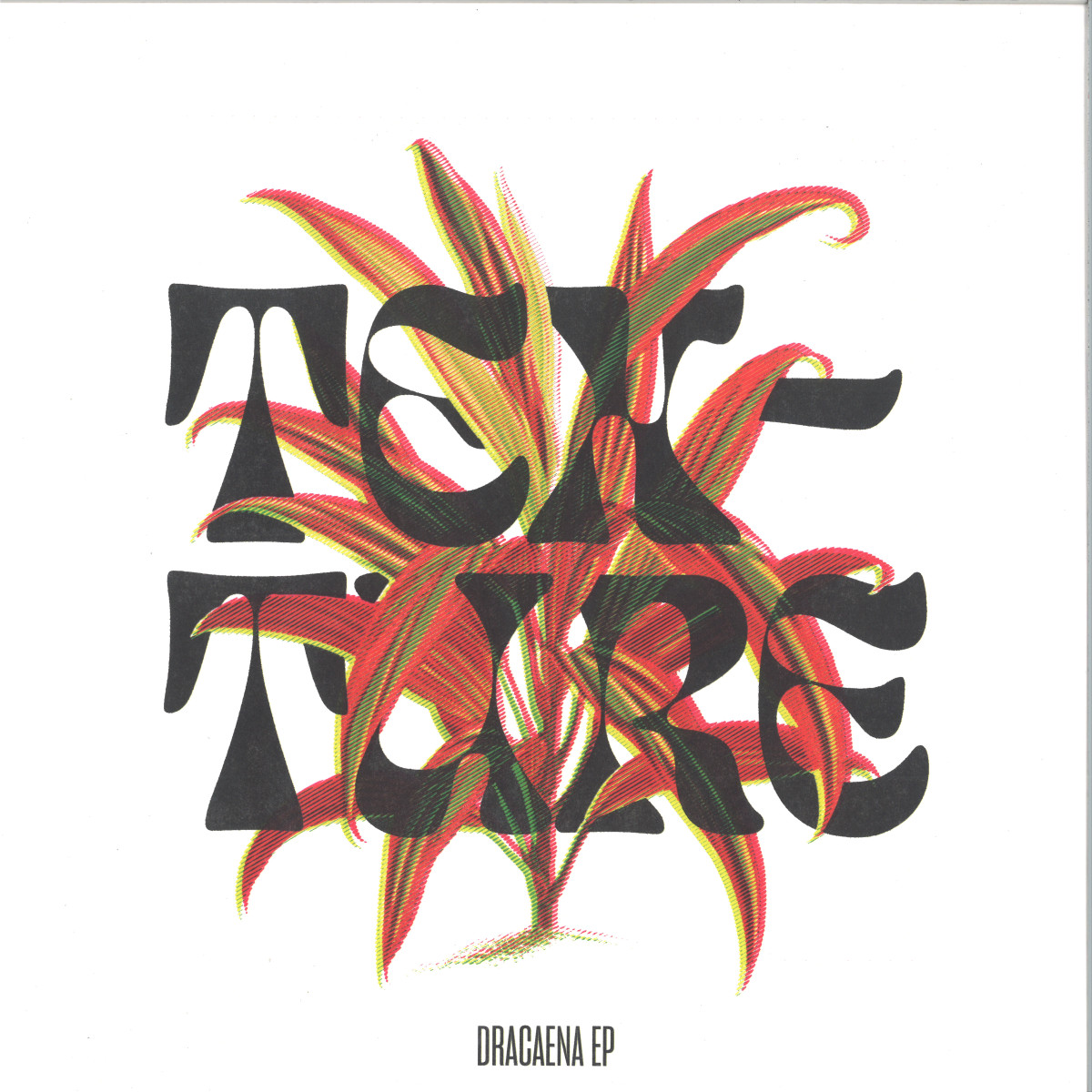 Texture — Dracaena