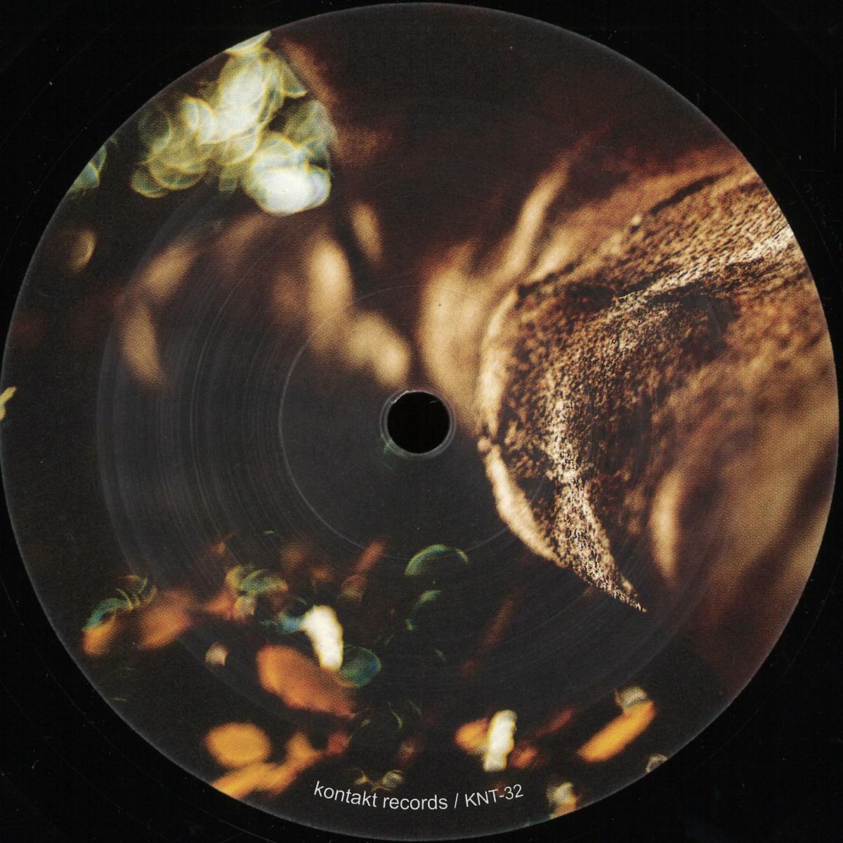 Mike Schommer & Milly James & Rod Modell — Leaving The Ground