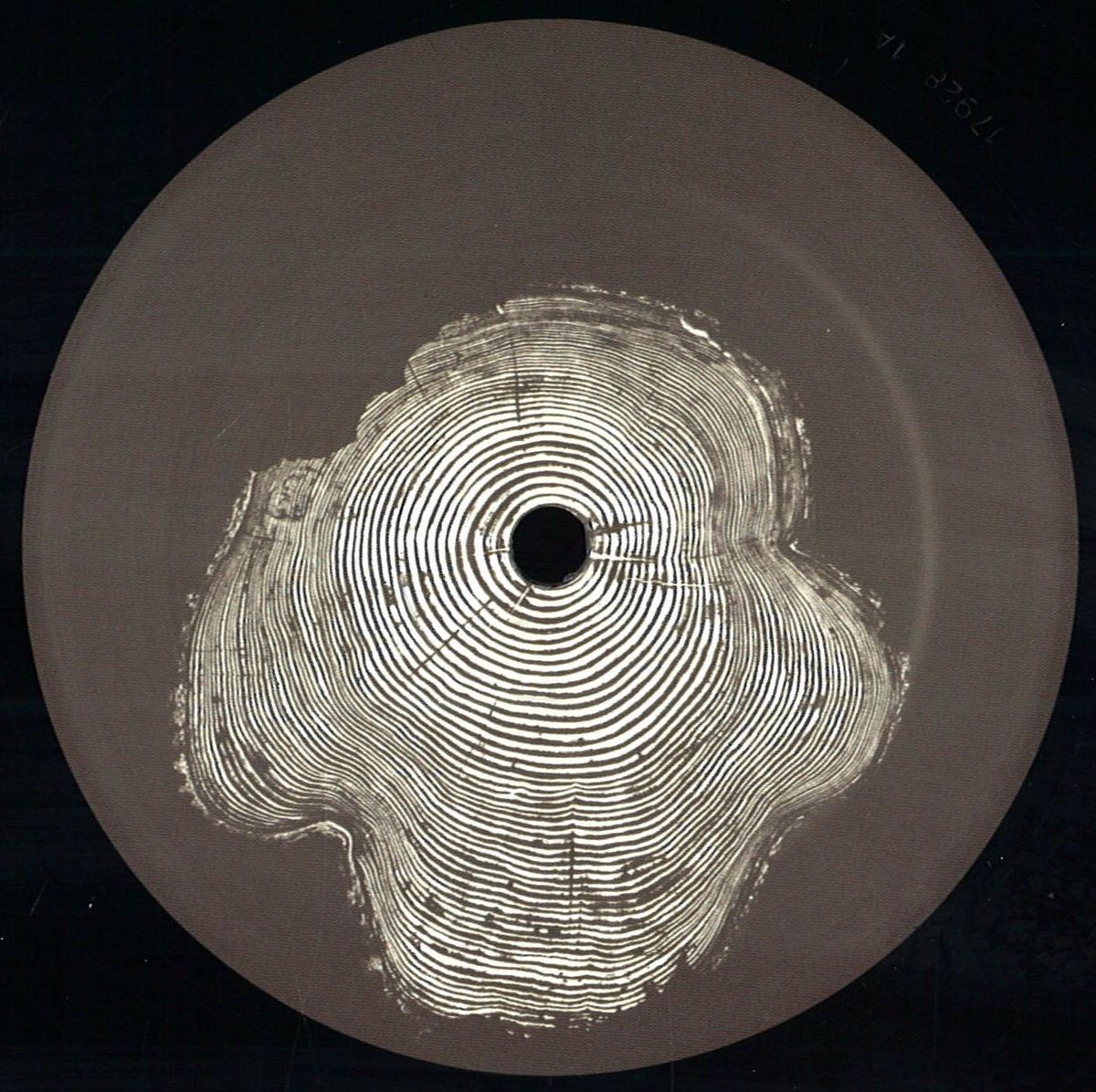 Hector Oaks — Dos