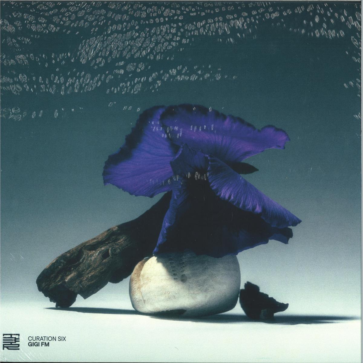 Various Artists — Curation Six: GiGi Fm