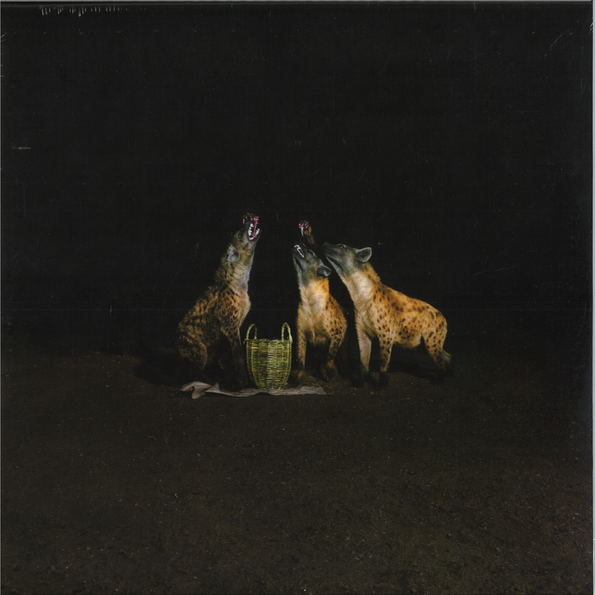 Years of Denial — Suicide Disco