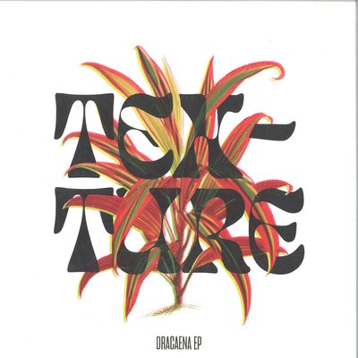 Texture — Dracaena, обложка