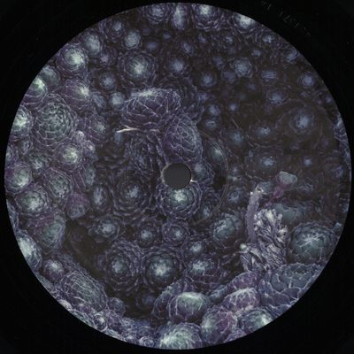 ORBE — Incremental, обложка