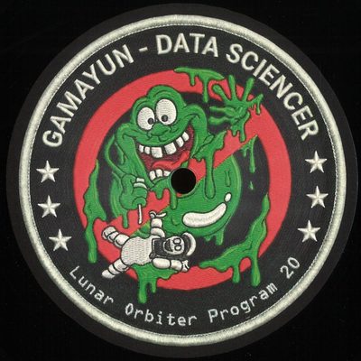 Gamayun — Data Sciencer, обложка