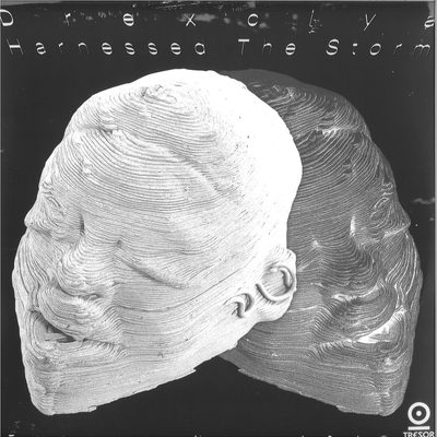 Drexciya — Harnessed The Storm LP 2x12", обложка