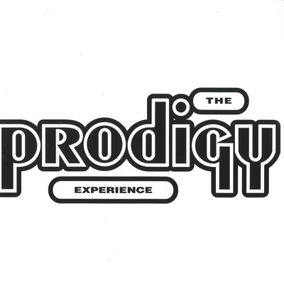 The Prodigy — Experience, обложка
