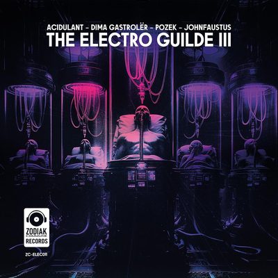 Various — The Electro Guilde III, обложка